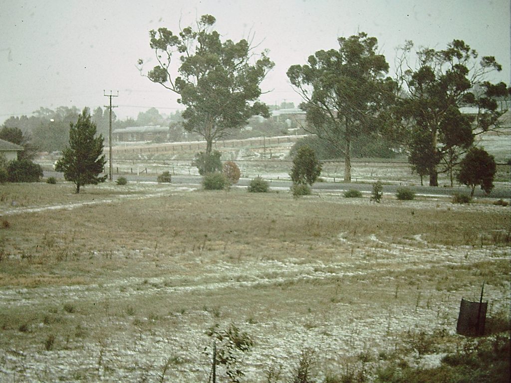 Snow - Early 80's - from 3 Oval Crescent Eudunda - Looking across Railway Triangle to South Terrace
